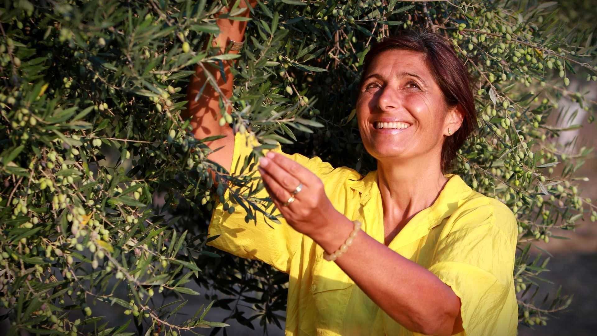 Woman in a yellow shirt picking olives from an olive tree with a smile on her face. - Olive Oil Times