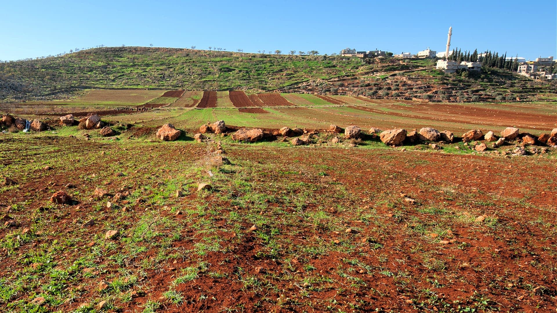 View of agricultural fields with brown soil and green grass, featuring rocky terrain in the foreground. - Olive Oil Times