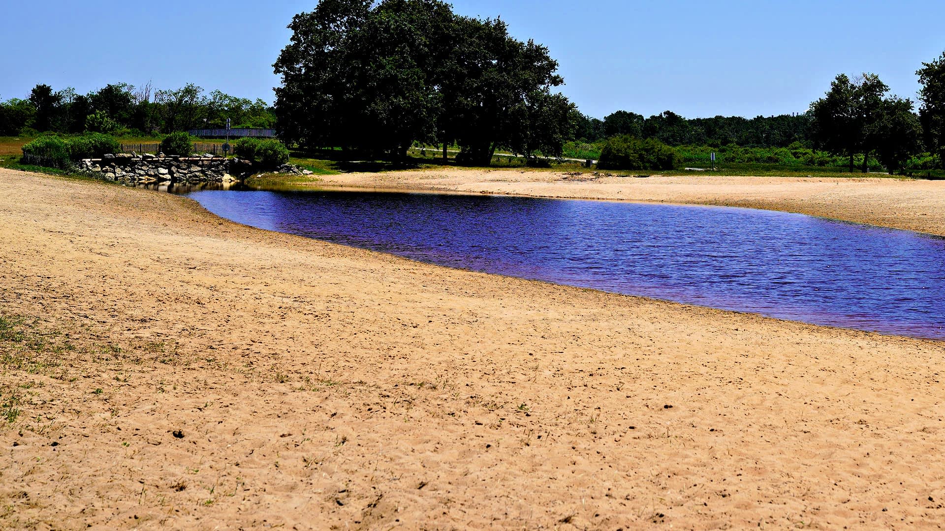 A small body of calm water bordered by a sandy area and sparse vegetation. - Olive Oil Times