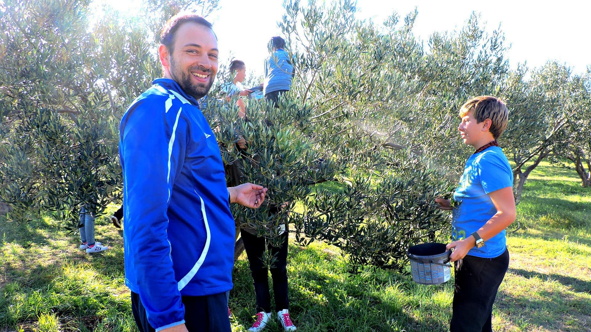 Group of people participating in olive harvesting, with one man smiling and others collecting olives from trees. - Olive Oil Times