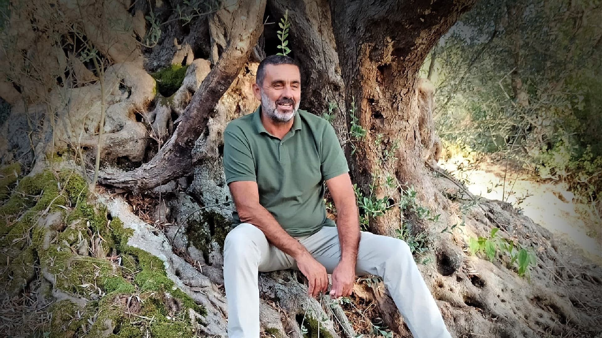 Man with a beard sitting on the roots of an olive tree, wearing a green shirt and light-colored pants. - Olive Oil Times