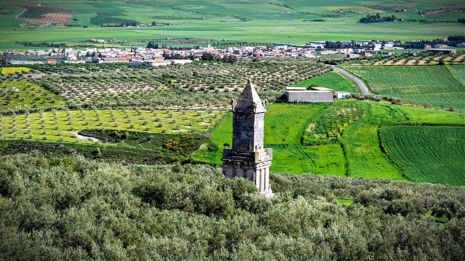An ancient stone tower stands amidst olive groves and green fields in a rural landscape. - Olive Oil Times