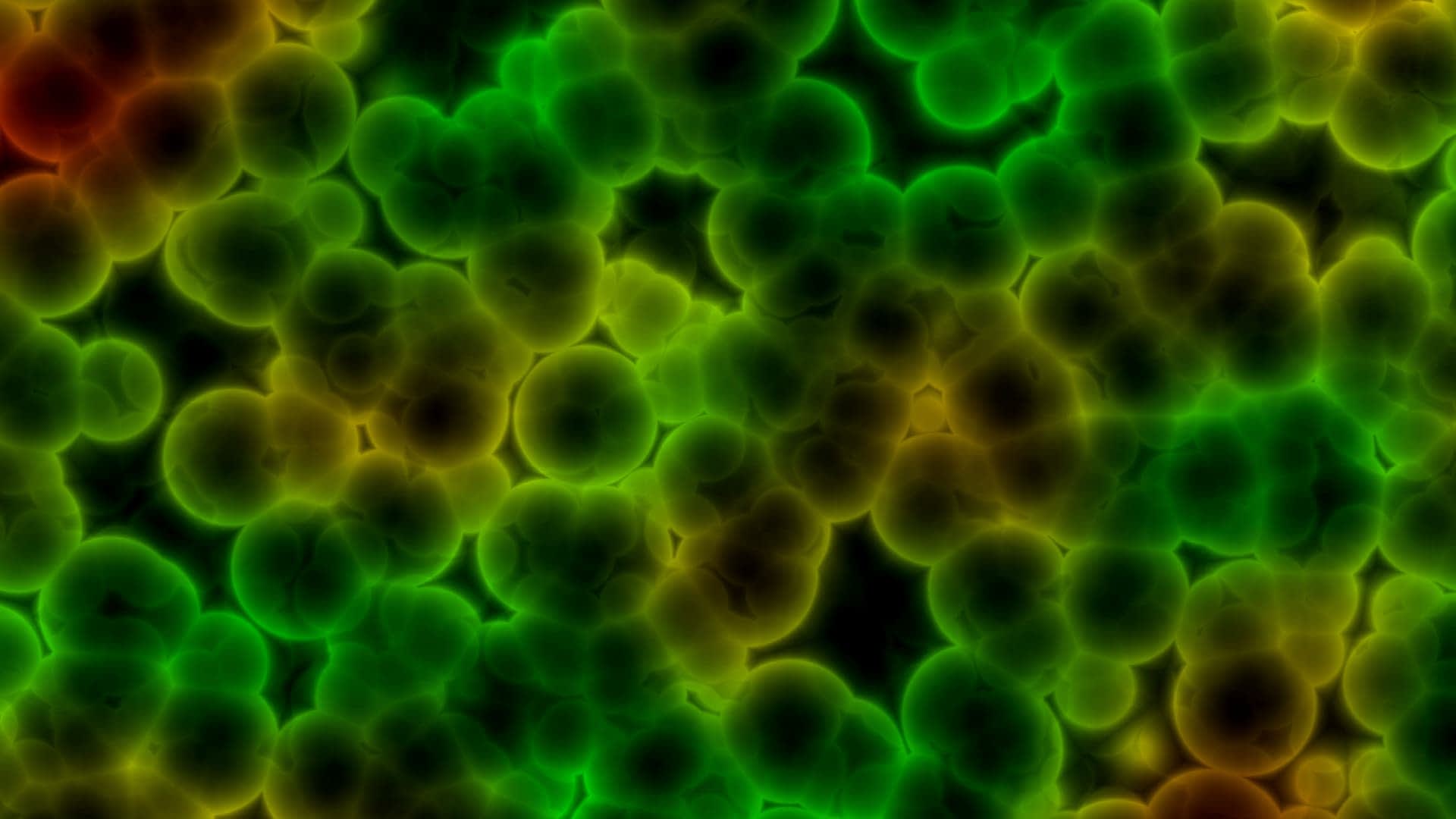 Microscopic image showing clusters of green and yellow bacterial cells on a dark background. - Olive Oil Times