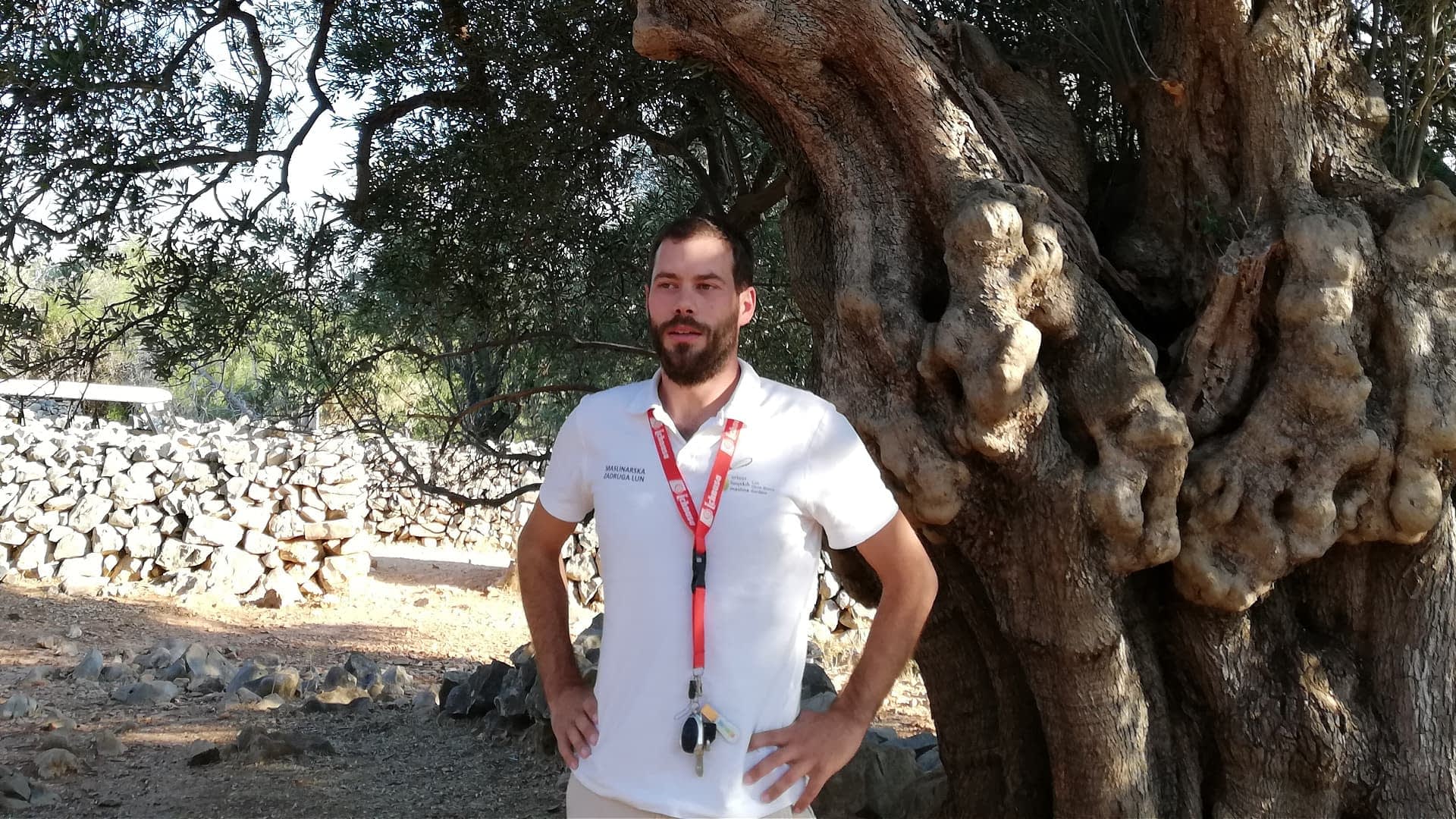 A man wearing a white shirt and lanyard standing beside a large olive tree. - Olive Oil Times