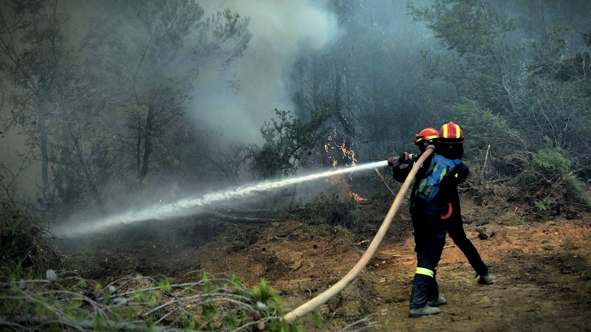 Firefighters using a hose to extinguish flames in a forested area during a wildfire. - Olive Oil Times