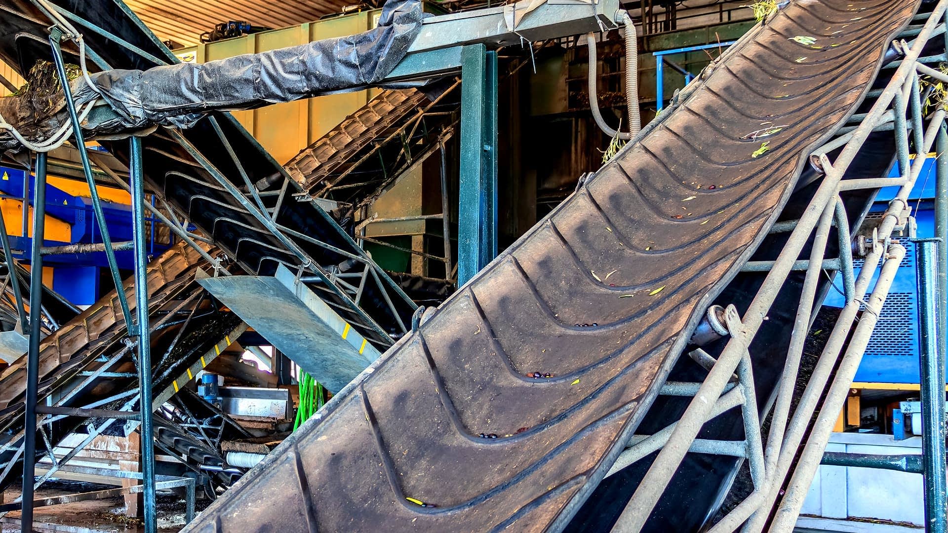 Industrial conveyor belt system with multiple inclined belts and metal framework. - Olive Oil Times