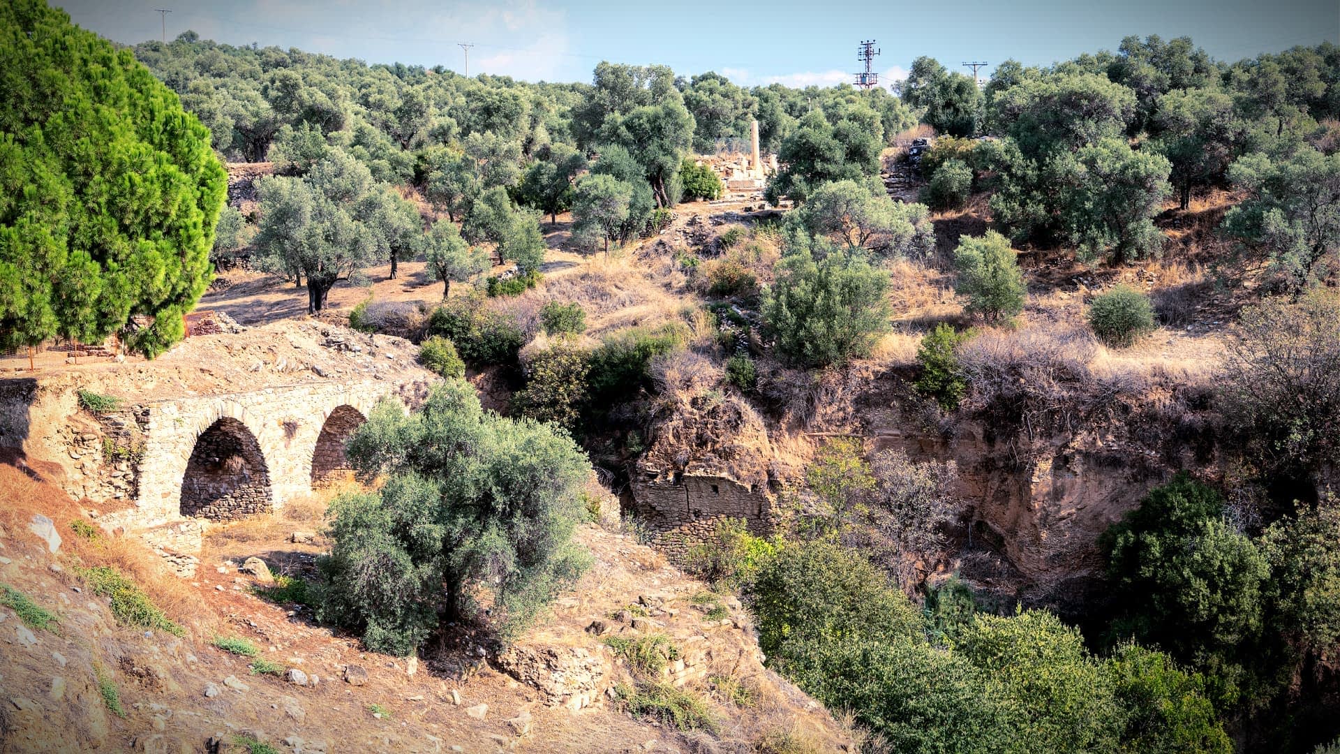 An ancient stone bridge in a landscape filled with olive trees and rocky terrain. - Olive Oil Times