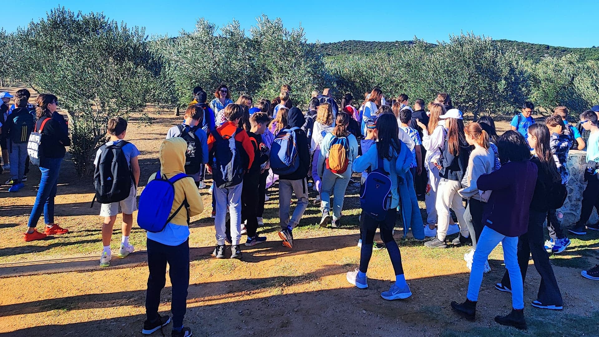 A large group of students gathered in an olive grove, wearing backpacks and casual clothing. - Olive Oil Times