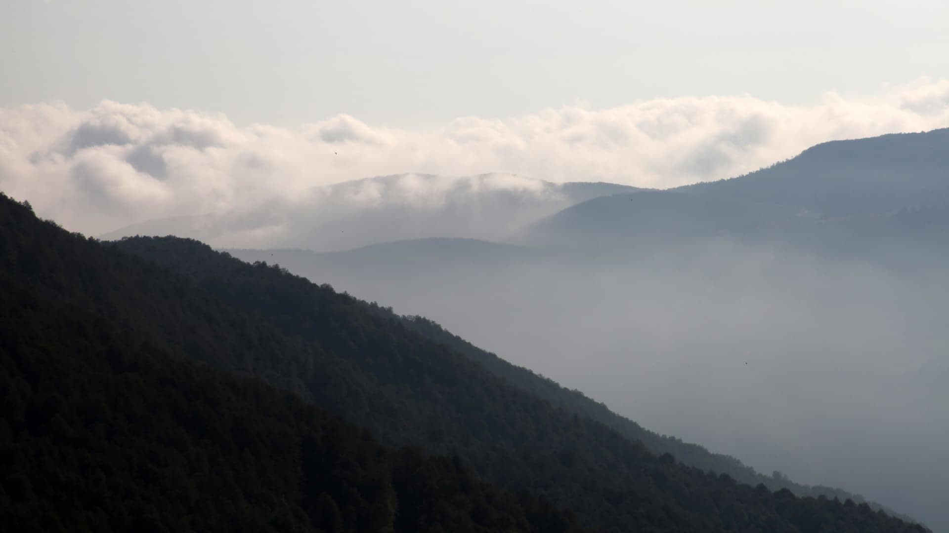 Layered mountain landscape with fog and clouds obscuring the peaks in the background. - Olive Oil Times