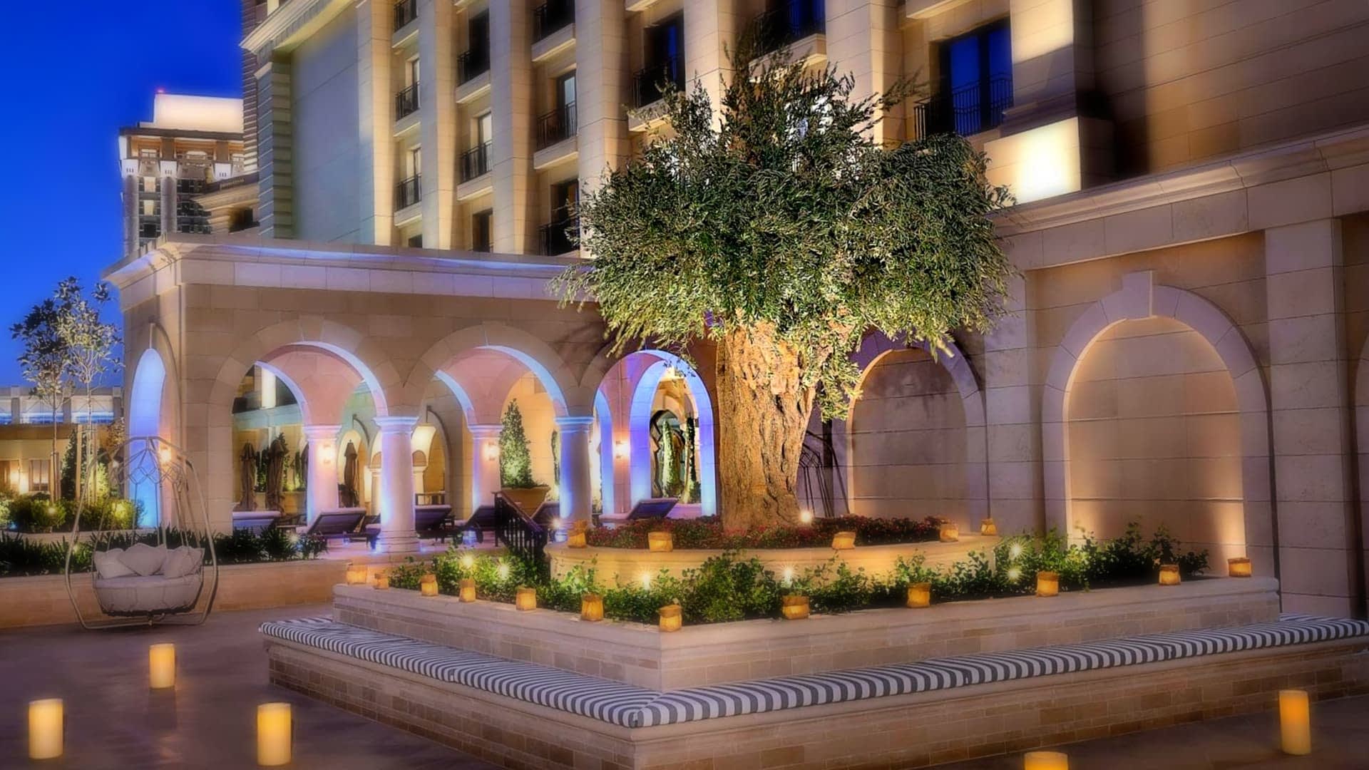 An olive tree surrounded by arches and soft lighting in a courtyard setting. - Olive Oil Times