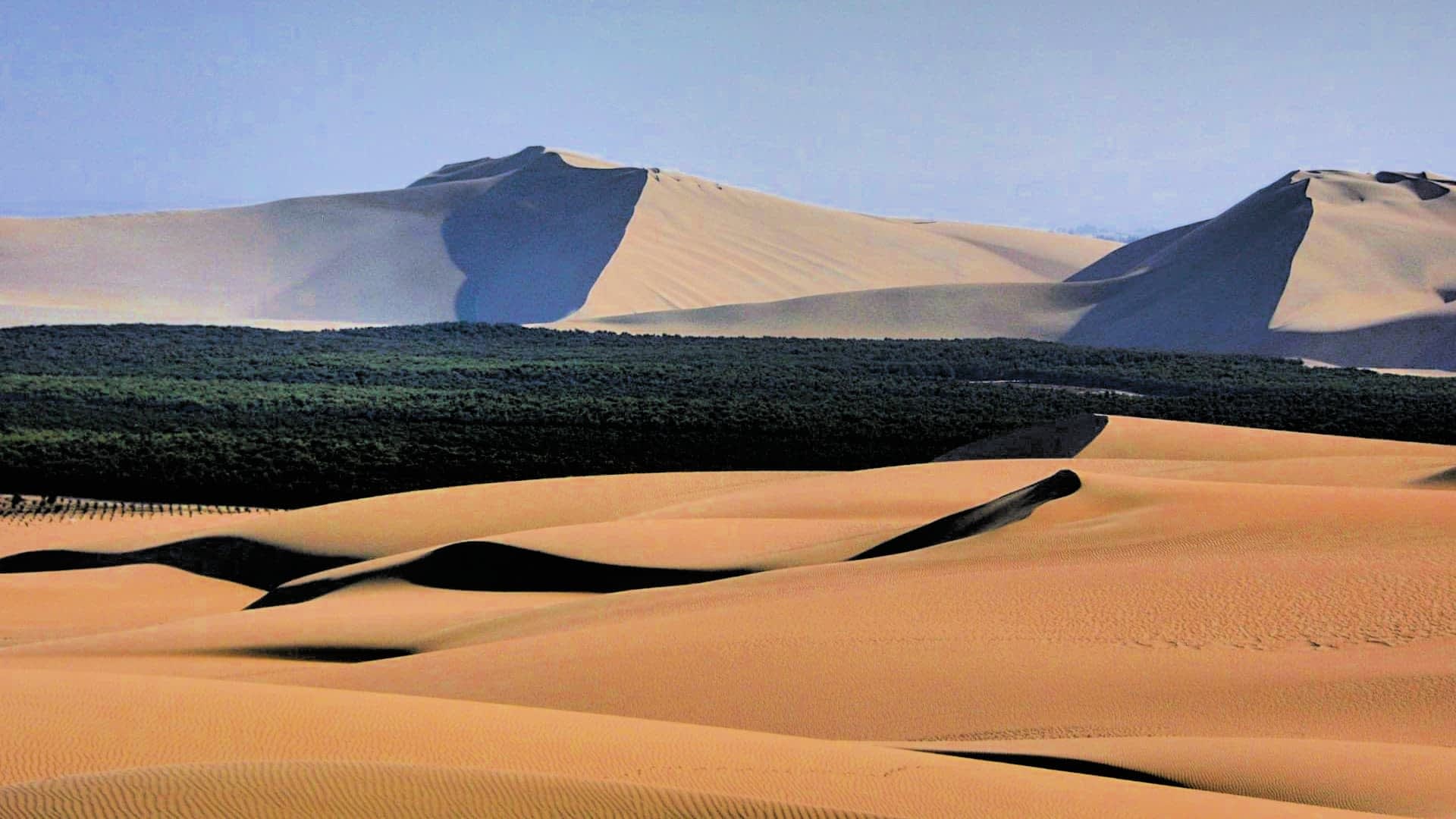 View of sand dunes with mountains in the background and a patch of greenery. - Olive Oil Times