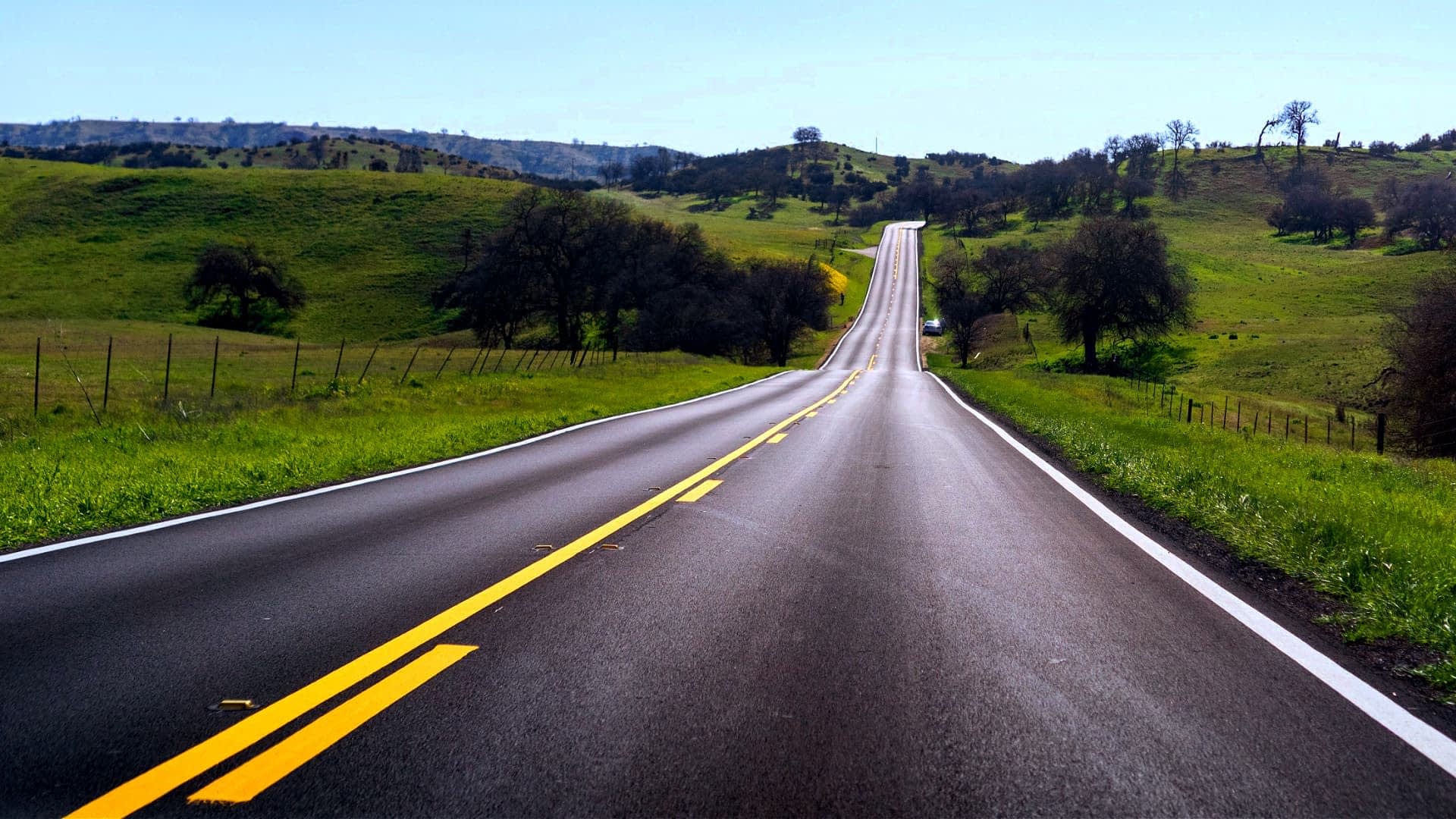 A winding road stretching through a green landscape with trees on either side. - Olive Oil Times