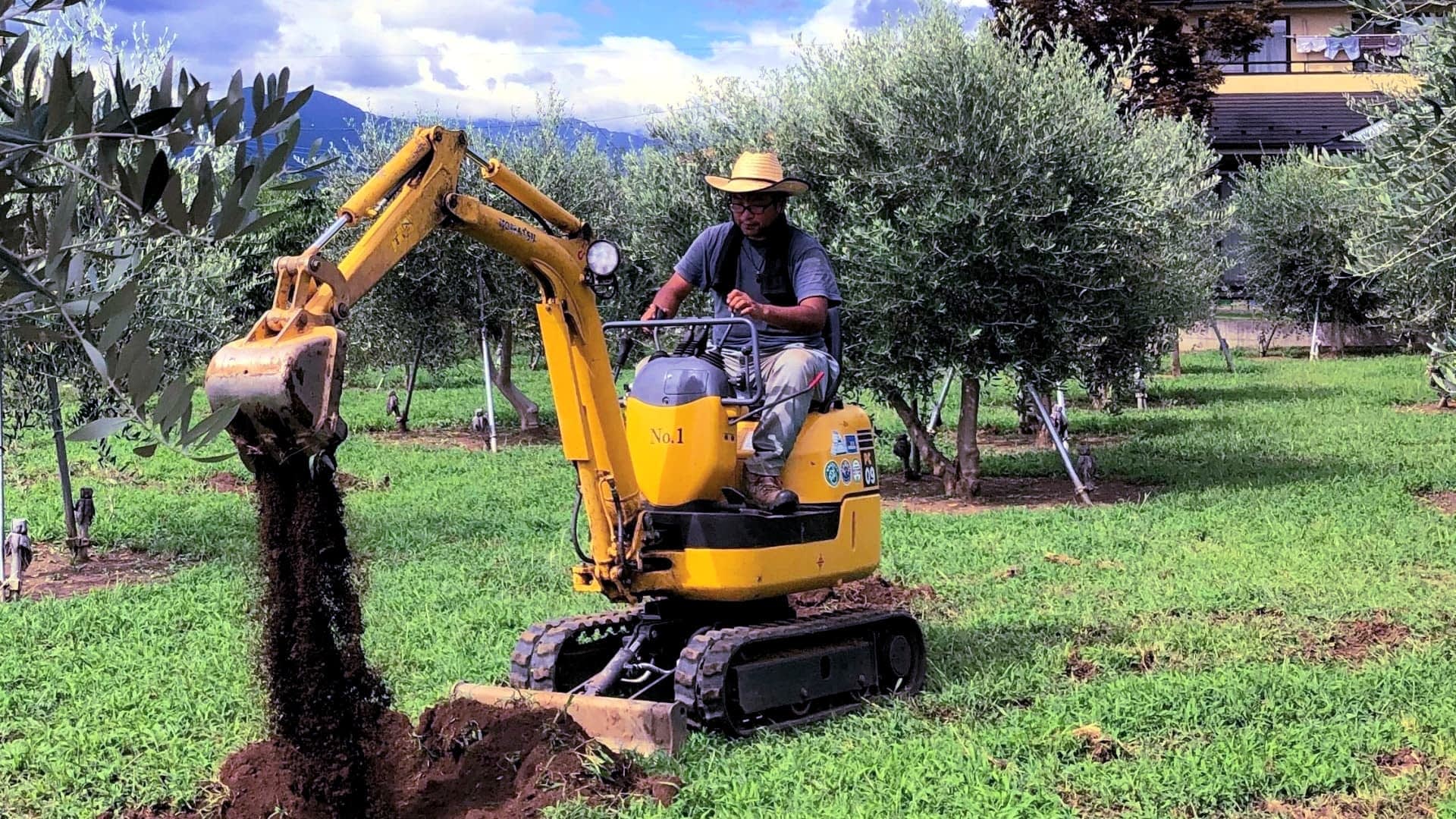 Operator using a mini excavator to dig in an olive grove surrounded by olive trees. - Olive Oil Times