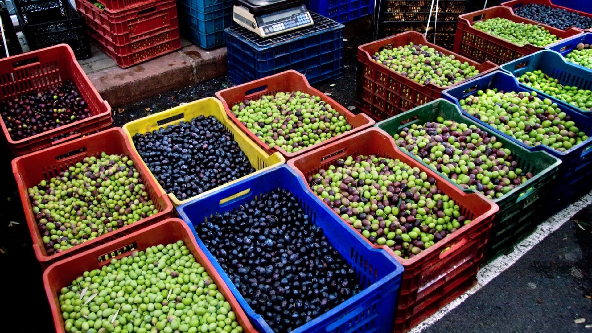 Various baskets filled with green, black, and purple olives arranged at a market. - Olive Oil Times
