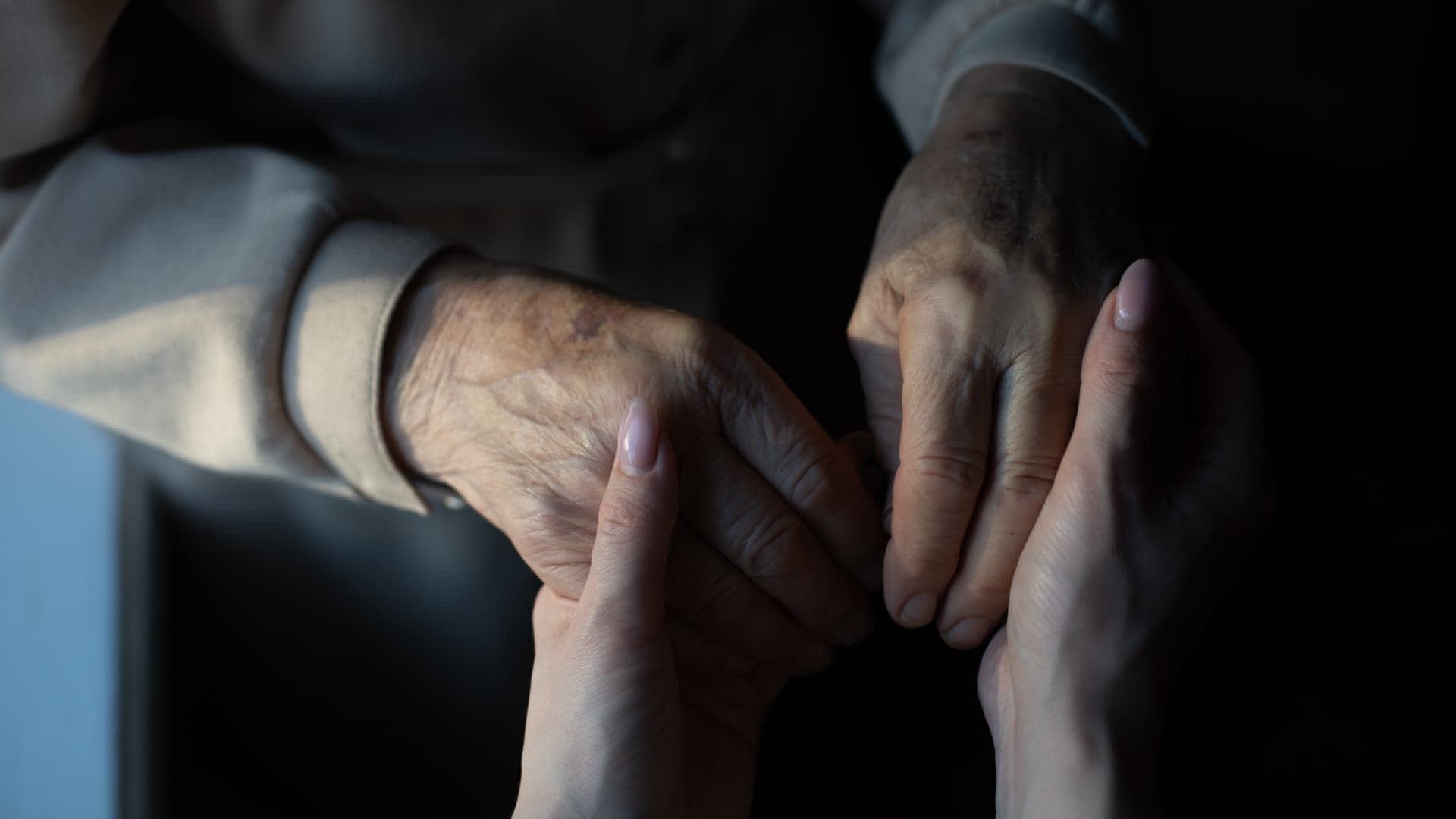 An elderly person's hand holding a younger person's hand, showcasing a connection between generations. - Olive Oil Times