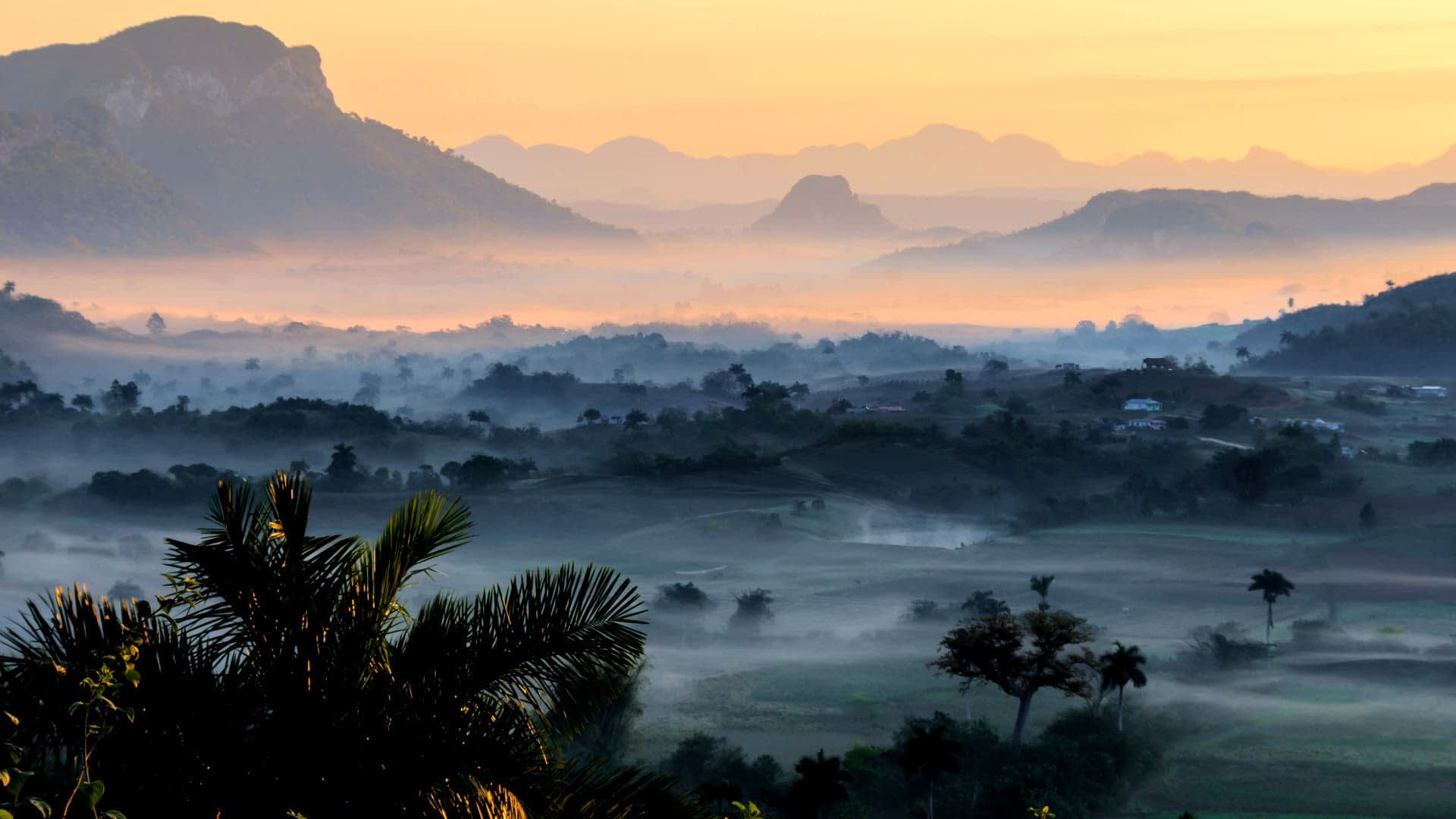 A misty landscape featuring mountains and valleys during sunrise with soft light and fog. - Olive Oil Times