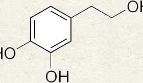Chemical structure diagram of hydroxytyrosol showing its molecular composition. - Olive Oil Times