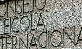 Text on a stone wall reading 'Consejo Oleícola Internacional' in capital letters. - Olive Oil Times