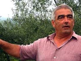 Man with gray hair gesturing while standing in an olive grove with trees in the background. - Olive Oil Times