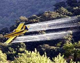 Yellow agricultural aircraft spraying pesticides over a green landscape with trees. - Olive Oil Times