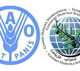 Logos of the Food and Agriculture Organization and the International Olive Council. - Olive Oil Times