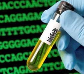 背景に遺伝子配列が表示された黄色の液体が入った試験管を持つ手。 - Olive Oil Times