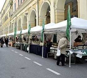 Outdoor market featuring stalls with canopies and various products displayed for sale. - Olive Oil Times