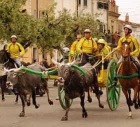 Group of riders in yellow attire guiding horses and oxen in a parade on a street. - Olive Oil Times