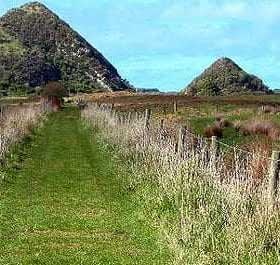 A grassy pathway bordered by fences leading towards two hills in Otago, New Zealand. - Olive Oil Times