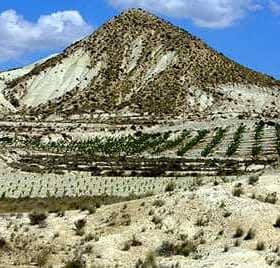 A mountain with a steep slope and terraced fields in the foreground under a blue sky with clouds. - Olive Oil Times