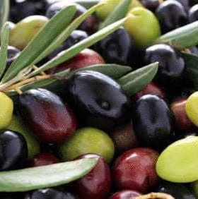 A mix of green, black, and purple olives with olive leaves scattered among them. - Olive Oil Times