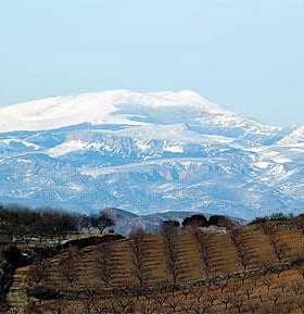 Snow-covered mountain range visible above agricultural fields in the foreground. - Olive Oil Times