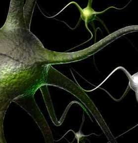 Digital illustration of neurons with various colors and shapes against a dark background. - Olive Oil Times