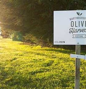 Sign for the Martinborough Olive Harvest Festival with an arrow pointing right. - Olive Oil Times