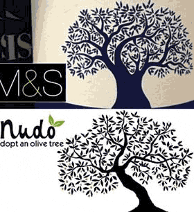 Graphic design featuring an olive tree with intricate leaf patterns and stylized text. - Olive Oil Times