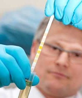 Scientist in gloves examining a test tube with a colorimetric analysis strip for measurement. - Olive Oil Times