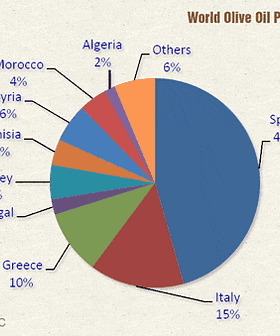 Pie chart illustrating the distribution of world olive oil production by country. - Olive Oil Times