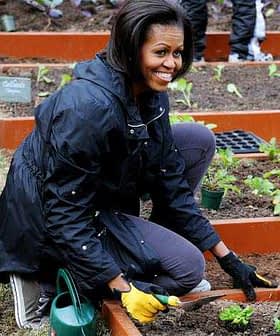 Woman wearing gloves and a jacket planting in a garden bed with vegetables. - Olive Oil Times