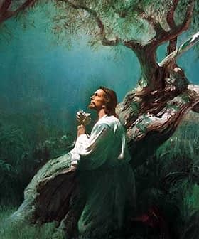 Painting of Jesus kneeling and praying under an olive tree in Gethsemane. - Olive Oil Times