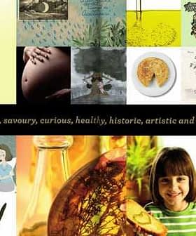 A collage featuring various images related to olive oil, including bottles, cooking, and artistic representations. - Olive Oil Times