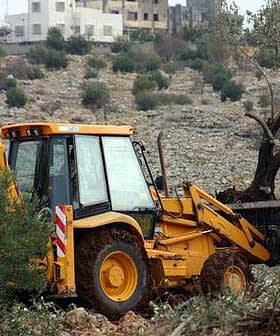 Yellow backhoe loader working in an olive grove, with an olive tree in the background. - Olive Oil Times