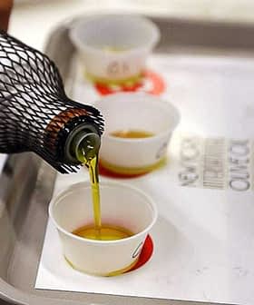 A bottle pouring olive oil into small tasting cups on a tray. - Olive Oil Times