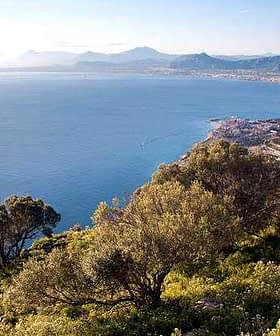 A panoramic view of the coastline in Sicily, featuring water, hills, and vegetation. - Olive Oil Times