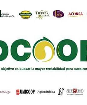 DCOOP logo with text and logos of partner organizations displayed below it. - Olive Oil Times