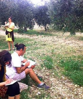 Two individuals sitting and sketching in an olive grove while a third person stands and observes. - Olive Oil Times