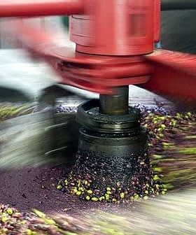 Mechanical equipment processing olives into oil, showing motion and olive fragments. - Olive Oil Times