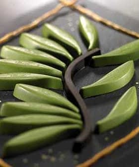 Artistic arrangement of green leaves on a slate background with a black stem. - Olive Oil Times