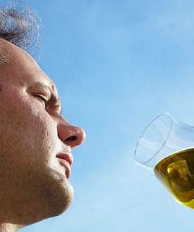 A man examining a glass of olive oil against a blue sky background. - Olive Oil Times