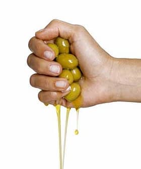 A hand squeezing a cluster of green olives, with olive oil dripping from them. - Olive Oil Times
