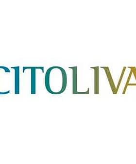 Citoliva logo featuring the brand name in stylized green and gold letters. - Olive Oil Times